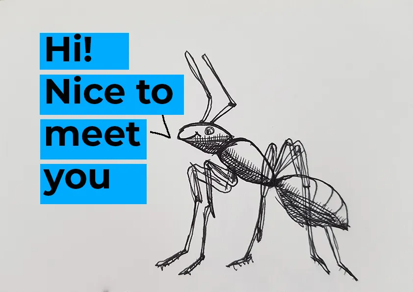 Ants and Content