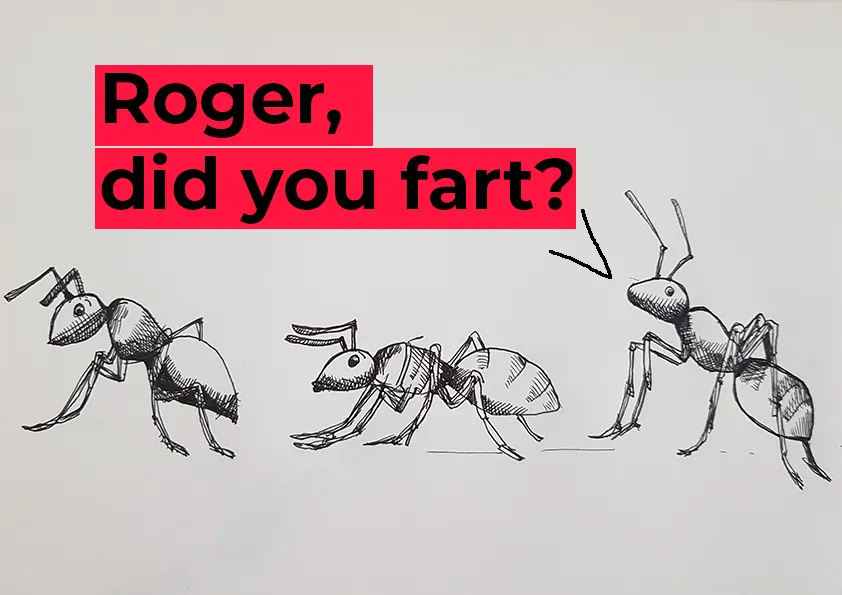 Ants in a row